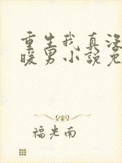 重生我真没想当暖男小说免费阅读全文