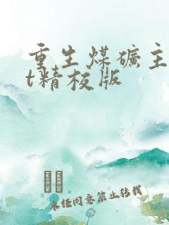 重生煤矿主txt精校版