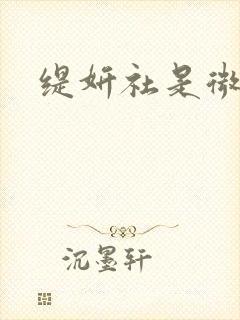 缇妍社是微商吗