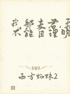 我那夫君,柔弱不能自理明决