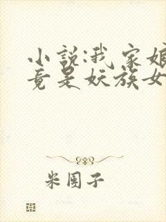 小说:我家娘子竟是妖族女帝