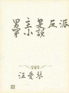 男主是反派的快穿小说