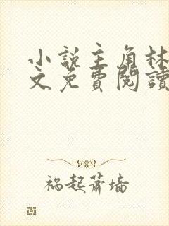 小说主角林枫全文免费阅读