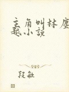 主角叫林尘的穿越小说