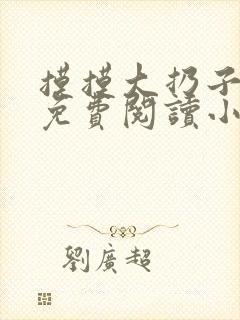 摸摸大扔子小说免费阅读小说