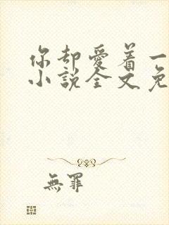 你却爱着一个他小说全文免费