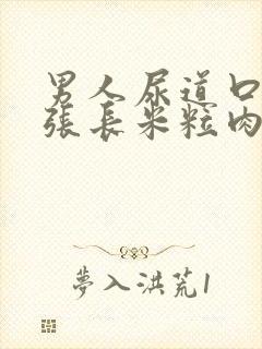 男人尿道口边上张长米粒肉粒