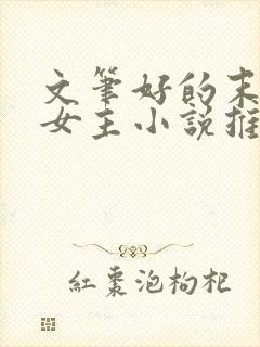 文笔好的末世文女主小说推荐