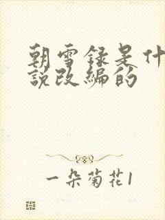 朝雪录是什么小说改编的