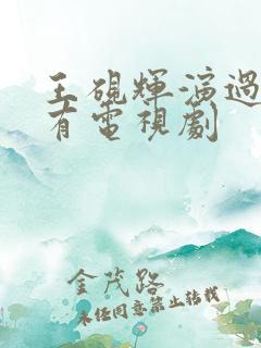 王砚辉演过的所有电视剧