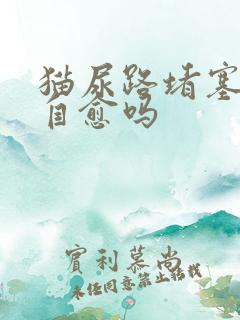 猫尿路堵塞可以自愈吗