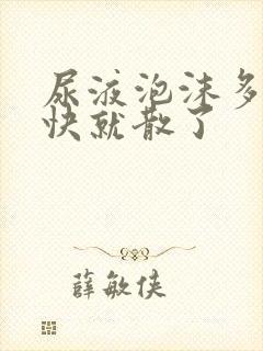 尿液泡沫多但很快就散了