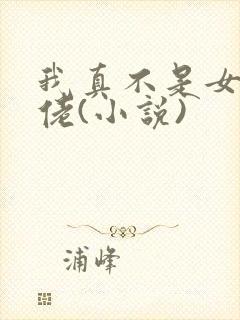 我真不是女装大佬(小说)