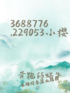 3688776,229053小樱