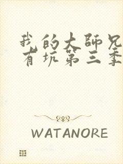 我的大师兄脑子有坑第三季免费观看