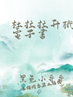 杜拉拉升职记 电子书