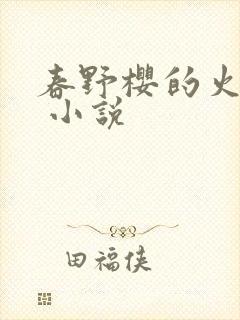 春野樱的火影传 小说
