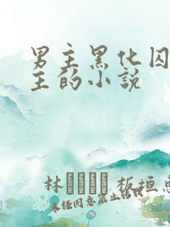 男主黑化囚禁女主的小说