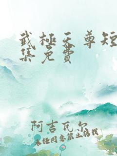 武极天尊短剧全集免费