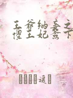 王爷纳妾之日,傻王妃签下休书