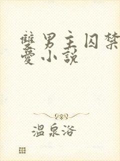 双男主囚禁强制爱小说