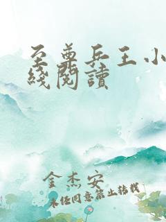 至尊兵王小说在线阅读