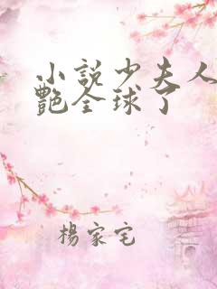 小说少夫人她惊艳全球了