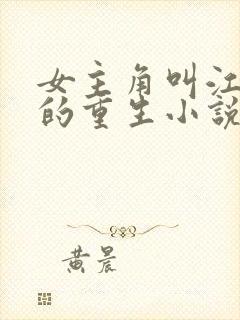 女主角叫江晚吟的重生小说