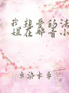我亲爱的法医小姐在哪看小说