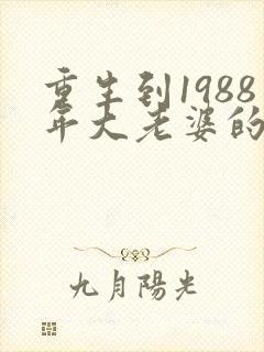 重生到1988年大老婆的小说