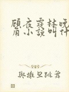 顾夜霆林晚晚配角小说叫什么名字