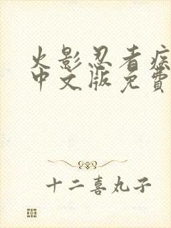 火影忍者疾风传中文版免费观看