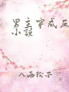 男主穿成反派的小说