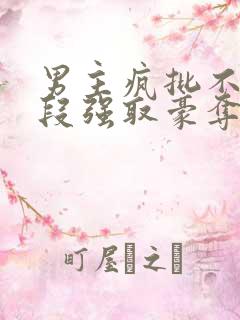 男主疯批不择手段强取豪夺的古言