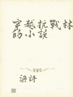 穿越抗战林天尘的小说