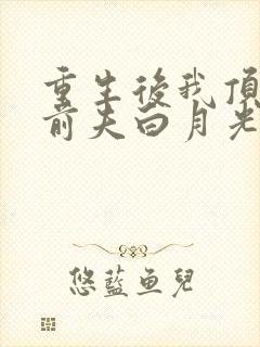 重生后我顶替了前夫白月光txt