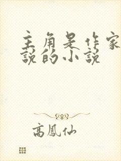 主角是作家写小说的小说