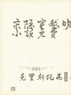 宋隐穿越明朝的小说免费