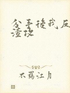 分手后我反攻了渣攻