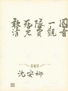 敢死队一国语高清免费观看