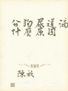 公狗尿道滴血是什么原因