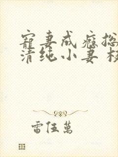 宠妻成瘾总裁的清纯小妻 枝枝