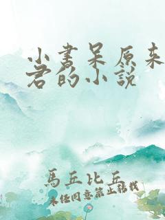 小书呆原来是暴君的小说