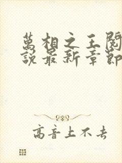 万相之王阅读小说最新章节