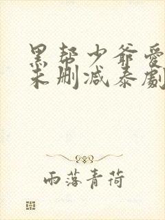 黑帮少爷爱上我未删减泰剧