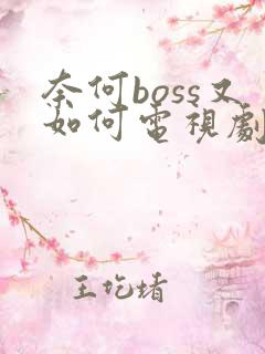 奈何boss又如何电视剧全集免费