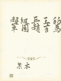 超级兵王的美女军团赵有为