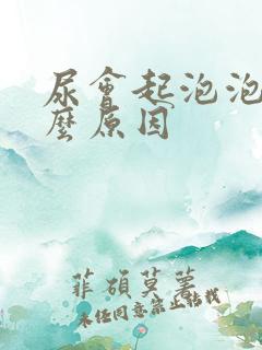 尿会起泡泡是什么原因