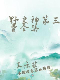 野良神第三季免费全集