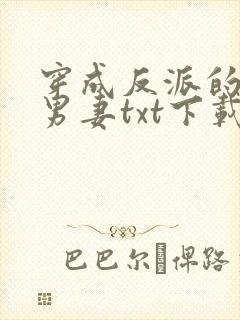 穿成反派的炮灰男妻txt下载宝书网